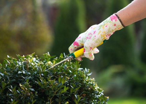 Illustration representing accessible landscaping services in Peckham