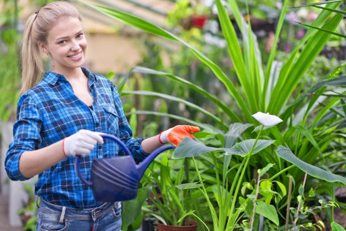 In a well-maintained outdoor garden space, a young woman with blonde hair tied back is smiling while holding a blue watering can, watering leafy green plants and tall grasses. The garden features a variety of lush, healthy foliage, with some plants showing broad, textured leaves and others with slender, pointed blades. The background includes flowering plants with small, colorful blossoms and a backdrop of trees or shrubs, indicating a diverse landscaped yard. The scene is lit by natural daylight, suggesting a mild, overcast or sunny day, with the weather conditions creating a bright and inviting environment. She is dressed in casual gardening attire, including a blue checked shirt, denim jeans, and gardening gloves, demonstrating a professional yet approachable gardening activity. The setting aligns with a residential domestic garden in Peckham, reflecting the outdoor spaces that Landscapers Peckham might maintain or improve as part of their gardening services, focusing on healthy plant growth, grass care, and outdoor aesthetic enhancement.