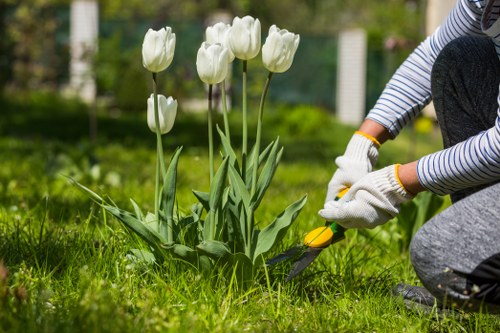 Garden clearance team pruning and trimming shrubs