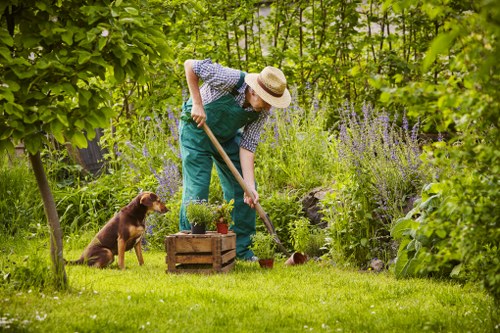 Landscapers carrying out a safe site check before garden work begins