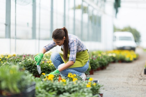 Professional lawn mowing service in Peckham