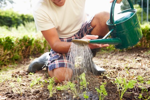 A person in casual clothing, including a light-colored t-shirt and checkered shorts, is kneeling in a garden bed on a sunny day, watering young plants with a green plastic watering can. The garden features a neatly arranged layout with rows of small, emerging green shoots and leafy plants growing in dark, moist soil. In the background, there is a well-maintained lawn bordered by a low hedge and a few mature trees, suggesting a landscaped outdoor space typical of residential gardens in Peckham. The scene reflects outdoor gardening activities focused on plant care and nurturing new growth, with natural daylight enhancing the vibrant green tones of the plants and the earthy browns of the soil. This image captures the essence of garden maintenance and planting services offered by local landscapers such as Landscapers Peckham, emphasizing their role in creating healthy, attractive outdoor environments within the South London area.
