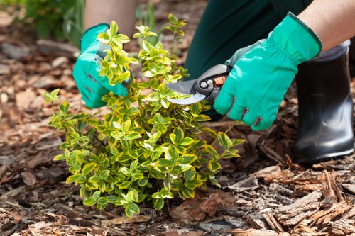 Sustainable landscaping features in a Peckham outdoor space