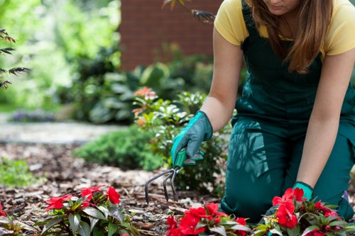 Eco-friendly landscaping practices by our team