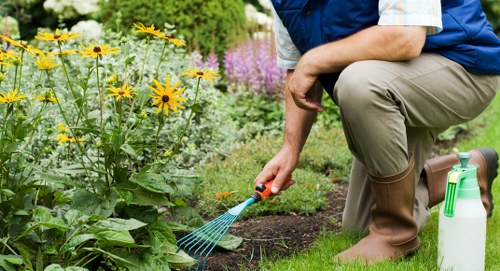 Custom garden design by expert landscapers in Peckham
