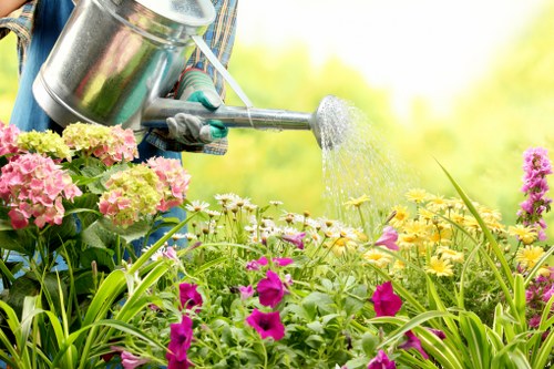 A close-up view of a gardener's hands watering a vibrant flower bed in a well-maintained outdoor garden, with a variety of flowering plants including pink, yellow, and purple blooms and lush green foliage. In the background, there are neatly trimmed hedges and a lawn area with dense, healthy grass. The scene is illuminated by natural sunlight, suggesting a bright, clear day, and the overall setting appears to be part of a landscaped backyard or front garden in Peckham, showcasing typical elements of outdoor gardening and lawn care relevant to local landscaping services by Landscapers Peckham.