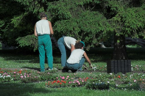 In this outdoor garden scene, three individuals are engaged in planting or tending to flower beds situated on a well-maintained lawn area with vibrant, colorful flowers. The garden is enclosed by lush, mature trees with dense green foliage, providing shade and a natural backdrop. One person is standing while two others are crouched down, actively working in the soil. The ground features a mixture of dark, rich soil borders and a vibrant array of small, blooming flowers with shades of pink, red, and white, arranged along the edge of a neatly manicured grassy area. Paving stones or garden edging define the borders between the flower beds and the lawn. The overall environment appears to be a thoughtfully landscaped outdoor space, suitable for gardening services such as planting, landscaping, and maintenance, reflecting a typical scenic garden in Peckham, South London, with a peaceful and inviting atmosphere. The lighting suggests a clear, bright day, highlighting the freshness of the greenery and flower colors, and supporting sustainable gardening practices often promoted by local garden specialists.