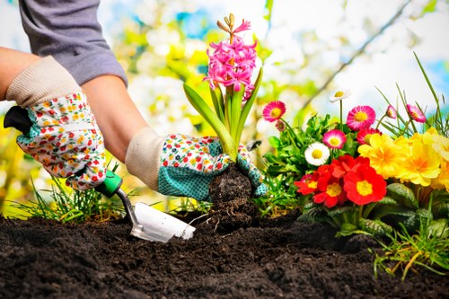 A close-up view of a gardener's hands wearing colorful floral-patterned gardening gloves, planting a pink hyacinth flower into dark, rich soil in a well-maintained garden. To the right, there is a vibrant flower bed featuring a variety of blooming flowers in shades of yellow, white, red, and pink, arranged alongside lush green foliage. The garden includes a small patch of freshly turned soil and a background of blurred greenery and tree branches, suggesting a bright, sunny day with natural light illuminating the scene. The image highlights outdoor gardening activities that could be offered by Landscapers Peckham, focusing on planting, garden maintenance, and floral displays in residential outdoor spaces within the Peckham area, SE15 postcode, contributing to a lush and attractive garden environment.
