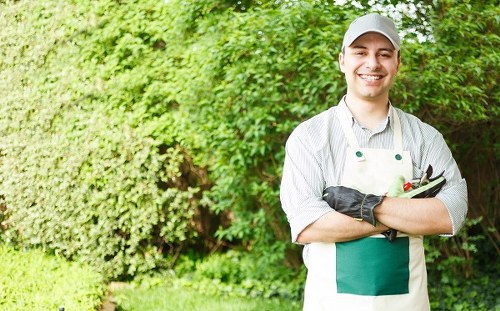 A young male gardener standing outdoors in a garden space with lush green foliage and well-maintained bushes in the background. He is smiling and dressed in a light grey cap, a striped grey and white shirt, and a white apron with a green pocket. His arms are crossed, holding gardening tools, including pruning shears and a trowel, indicating active gardening or landscaping work. The garden features a neatly trimmed hedge, a grassy lawn with dense, healthy grass, and a paved pathway partially visible beside the lawn. The environment appears bright and slightly overcast, suggesting a mild, temperate day suitable for outdoor gardening tasks in Peckham, London. This scene illustrates professional gardening services offered by Landscapers Peckham, highlighting their expertise in garden maintenance and landscaping within the London area.