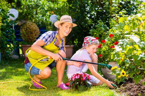 Landscaping team installing plants and shrubs