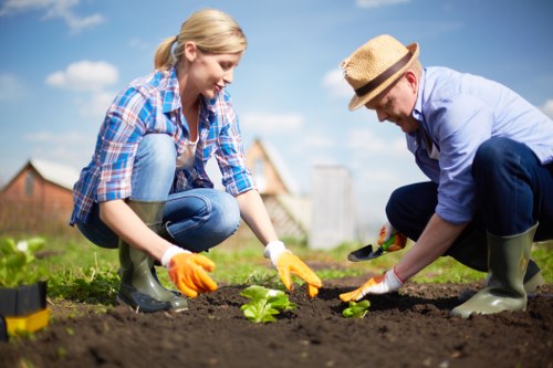 A woman and a man working together in a garden, planting young green seedlings into freshly turned dark soil. The woman, with blonde hair tied back, is wearing a blue plaid shirt, jeans, and yellow gloves, while the man, wearing a straw hat, light blue shirt, and rubber boots, is carefully handling a plant. The garden area features a well-maintained lawn with lush grass in the foreground, and a background with a clear blue sky, residential rooftops, and a hedge lining the garden boundary. The scene highlights outdoor garden maintenance, planting activities, and landscape improvement typical of professional gardening services in Peckham, with active composting or soil preparation as part of garden care. The natural lighting suggests a bright, sunny day, ideal for outdoor gardening work intended to enhance outdoor living spaces and support landscape aesthetics and health.