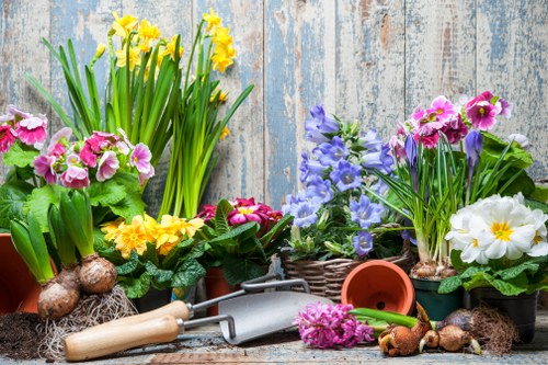The image displays a variety of potted flowering plants arranged on a weathered wooden surface, with a backdrop of distressed blue paint. In the foreground, yellow daffodils with long green leaves are clustered in a terracotta pot, complemented by pink and purple primroses in flower baskets. A small gardening trowel with a wooden handle and metal blade, along with a watering can, are placed among the pots. Additional gardening tools and brown bulbs are scattered nearby, suggesting preparations for planting or ongoing garden maintenance. The scene features natural tones of green, pink, yellow, purple, and terracotta, reflecting a vibrant and healthy garden environment typical of outdoor spaces in Peckham or surrounding areas. The overall setting hints at a well-maintained garden bed or patio section, ideal for gardening services such as planting, potting, and surface care, as provided by Local landscapers in Peckham.